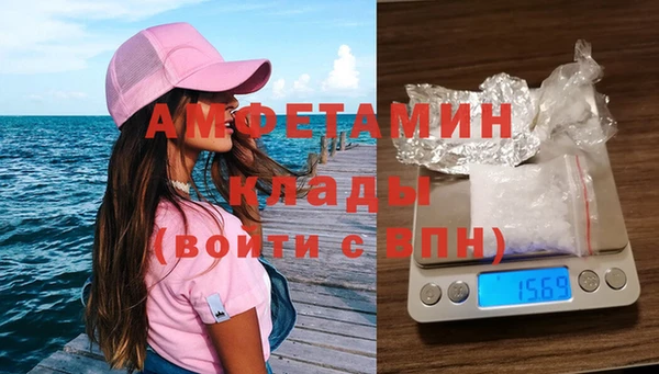 прущие грибы Лихославль