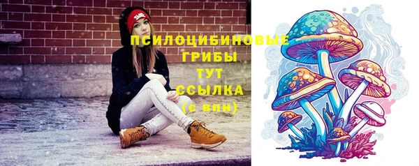 прущие грибы Лихославль