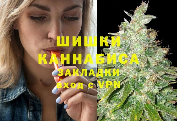 прущие грибы Лихославль
