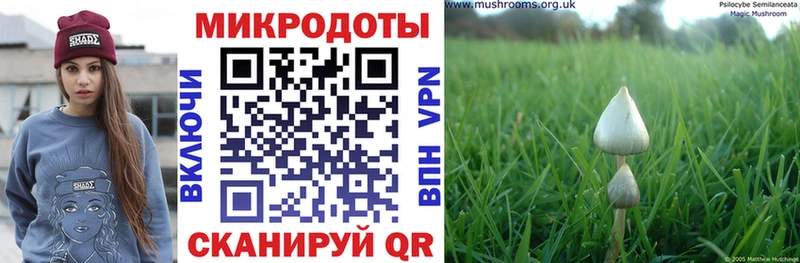 Купить  Кондопога  Галлюциногенные грибы мухоморы 