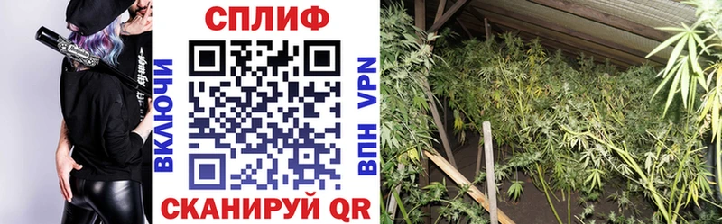 Бошки Шишки планчик  Купить закладки  Кондопога 